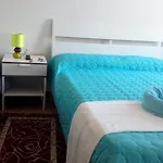 Ensemble Di Vayadu בית הארחה אלסיו
