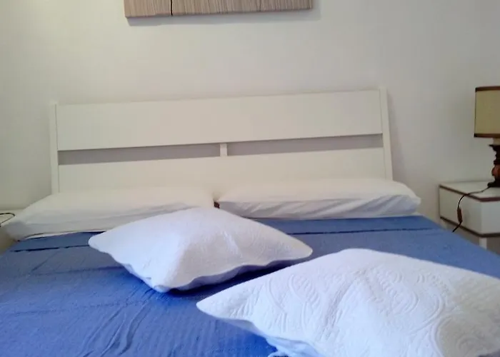 Ensemble Di Vayadu Alassio