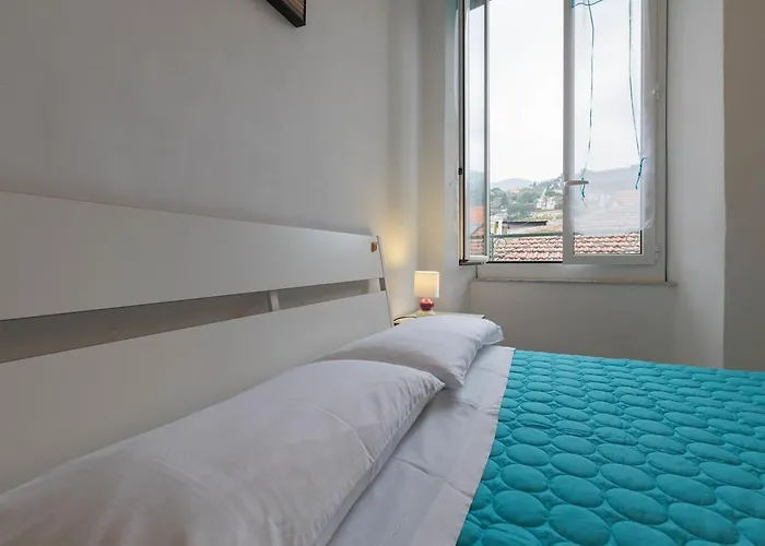 Ensemble Di Vayadu 3*