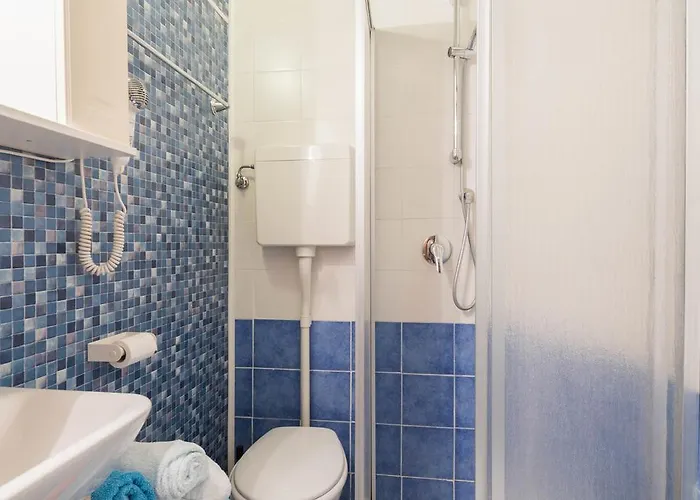 Ensemble Di Vayadu Alassio